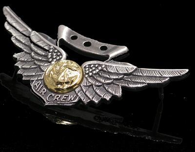 Combat Aircrew Wings